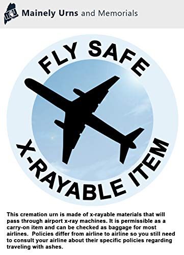 CarrySafe TSA-Approved Travel Urn Kit – Guaranteed Fly-Safe Temporary Cremation Urn for Human Ashes – Includes Personalization – Airline Friendly, 200 Cu in, Blue Plastic with Travel Box - color: Blue Personalized