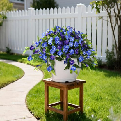 Hommyea Artificial Flowers for Outdoor, 2 PSC UV Resistant Fake Plants - color: Deep&light Blue