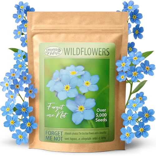 Forget Me Not Seeds, Myosotis sylvatica, Biennial, 5,000 Seeds, 230 Sq Ft | Easy-to-grow Forget Me Not seeds create delicate blue blooms, attract bees and butterflies, and beautify gardens easily.