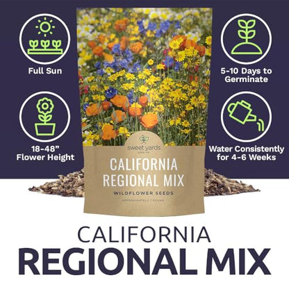 California Natives Mix - Bulk 1 Pound Bag - Over 120,000 Native Seeds - Open Pollinated and Non GMO - size: Bulk 1 Pound, style: California Regional Mix