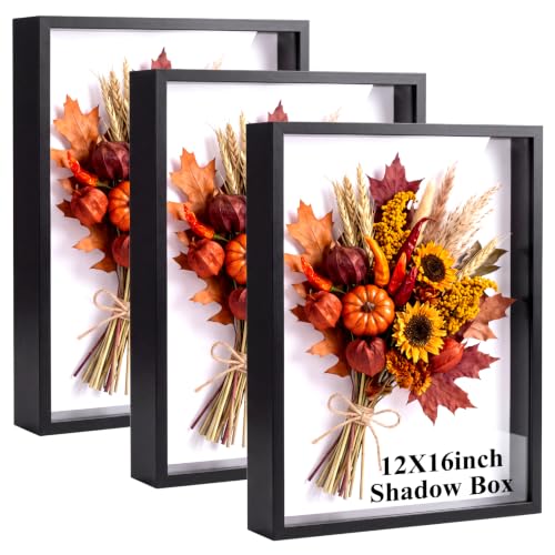 Tuanse Shadow Box Picture Frame Display Cases,16 x 12 Inch,Black - color: Black, size: 16 x 12 Inch