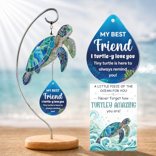 Positive Turtle Gifts for Best Friend Women - Christmas Desk Decor | Turtle Christmas Ornament, Unique Christmas Gift Ideas for Friends, Positive Friendship Desk Accessories - color: 11 - Friend Turtle