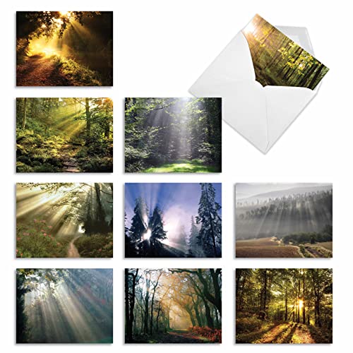The Best Card Company - 10 Assorted Sympathy Cards Boxed (4 x 5.12 Inch) - Condolence, Bereavement Greetings - Shining Through AM1735SMG-B1x10 - style: Shining Through