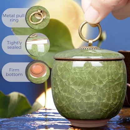 Small Urns for Human Ashes Keepsake, Ceramic Ice Crack Memorial Keepsake Cremation Urns Token Urns Mini Sharing Funeral Urns with Black Premium Box,Light Green - color: Light Green