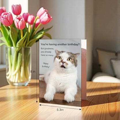 Qiliji Hilarious Cat Birthday Card for Him Her, Lovely Happy Birthday Card for Cat Lover, Funny Cats Mom or Cats Dad Bday Cards - color: Cat Birthday