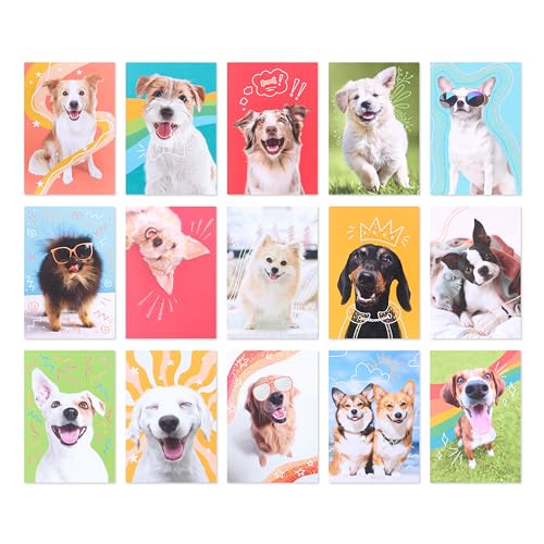 American Greetings 17-Count Thinking of You Blank Greeting Card Pack, Playful Dog Photo Assortment