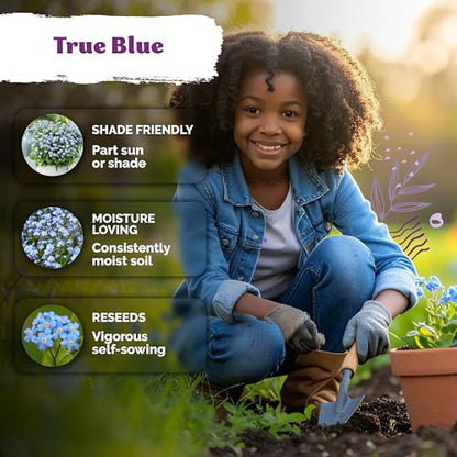 1200 Forget Me Not Heirloom Flower Seeds for Planting, Myosotis Sylvatica | Charming Blue Spring Flowers for Shady Gardens, Easy to Grow Seed Packets , Heirloom Seeds for Planting, Perfect for Borders