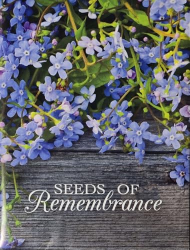 Perennial Blue Flax Seeds (300mg) Seeds of Remembrance Gift