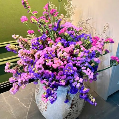 Mix Statice Forget me not Seeds for Planting, 309+pcs Perennial Statice Flower Seeds, Non-GMO Heirloom Rare Beauty Blooms Flowers Plants Home Garden for Outdoors