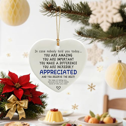 in Case Nobody Told You Today: You are Amazing, Important & Make a Difference - Affirmations Sign | Office Gift, Appreciation Gifts, Thank You Gifts, Going Away, Retirement Gift | Christmas Ornament - color: Deserve the Best