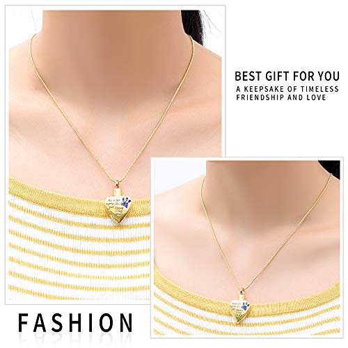 memorial jewelry No Longer by My Side,But Forever in My Heart Carved Locket Cremation Urn Necklace for Pet Dog Cats - color: Gold-Blue