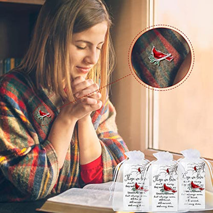 Jexine 240 Pcs Cardinal Pins Bulk Gift Funeral Favor Memorial Cards,Classic | Include 80 Cardinal Pins, 80 Cards, 80 Gift Bags, Celebration of Life Favors Memorial Keepsakes for Funeral Service Guests - style: Classic