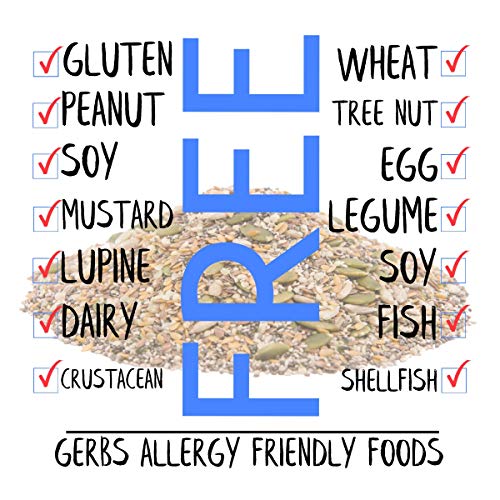 Gerbs Super 7 Seed Snack Mix 1 lb. - size: 16 Ounce (Pack of 1)