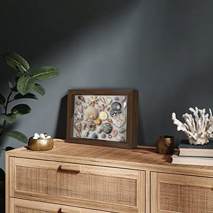 Americanflat 8.5x11 Shadow Box Frame with Shatter-Resistant Glass - Silhouette Collection - Large Shadow Box Display Case for Tabletop and Wall Display - Walnut with Soft Felt Back | Shatter-resistant glass, 1.5 inch interior depth, hangs vertical or hori