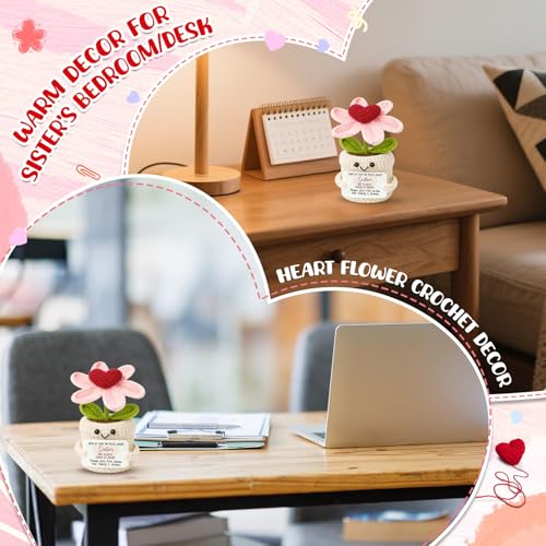 Sister Birthday Gifts from Sisters Brother, Thank you for being the family I chose Birthday Valentines Christmas, Mini Crochet Flower Affirmation Support Presents, Long Distance Gift for Bestie - color: Sisters2