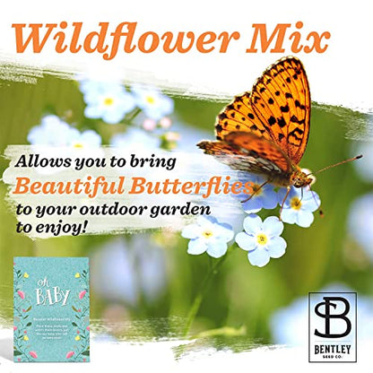Bentley Oh Baby Wildflower Seed Packets, 25 Non-GMO Pre-Filled Favors for Baby Shower Guests, Wild Flower Party Gifts for Boys or Girls - style: Oh Baby Blue
