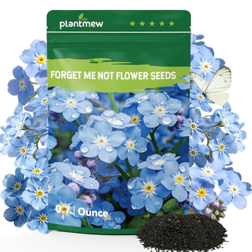 5600+ Forget Me Not Seeds for Planting, Easy to Grow Blue Forget-Me-Not Flowers, Perennial Wildflower Seeds for Ground Cover, Borders & Pollinator Gardens - size: 0.7 oz