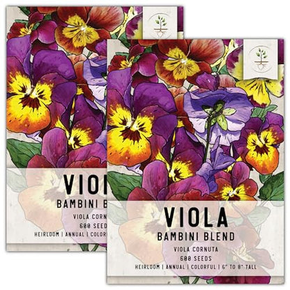 Seed Needs Bambini Viola Seeds to Plant an Annual Flower Garden 2 Packs - size: 2 Packs, style: Bambini Viola