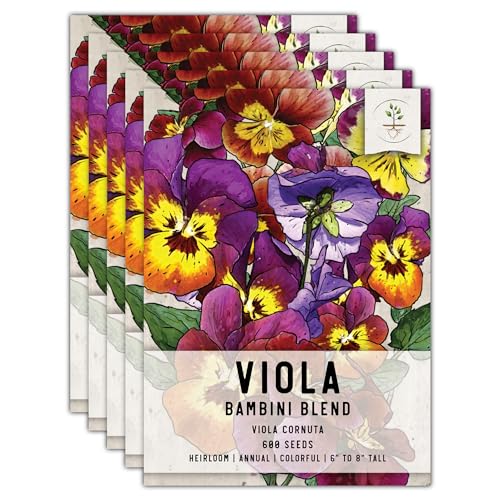 Seed Needs Bambini Viola Seeds to Plant an Annual Flower Garden 5 Packs - size: 5 Packs, style: Bambini Viola