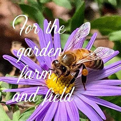Mountain Valley Seed Co Wildflower Seed Bulk - Midwestern Wildflower Mix | 1 lb. 640,000+ Prairie Wildflowers - Annual & Perennial Flower Seeds - Wildflowers - Flower Seed - Pollinator Flowers Seed - size: 1 Lb, style: Midwest