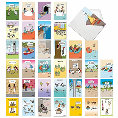 NobleWorks 36 Assorted Funny Birthday Cards Bulk Box Set with Envelopes, Rich Humor Cartoons Greeting Card Variety Pack for Men and Women (36 Designs, 1 Each) Celebrations AC7741BDG-B1x36 - style: Maria Scrivan's Celebrations