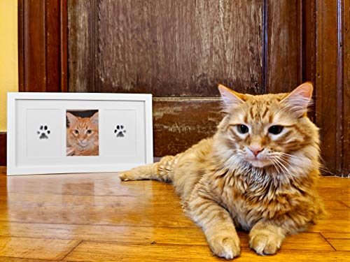 Green Pollywog Paw Print & Nose Print Keepsake Kit with Ink Pad - size: Paw Print Frame Kit - White