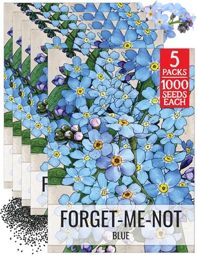 Seed Needs Forget Me Not Seeds to Plant Blue Annual Flowers 5 Packs - size: 5 Packs, style: Blue FMN