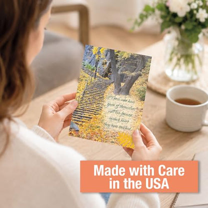 Current Condolences Card Set, Set of 40 | Mega Sympathy, 40 Count, 20 Designs, 5" x 7" Folded, Envelopes Included, Bulk Pack - style: Mega 1