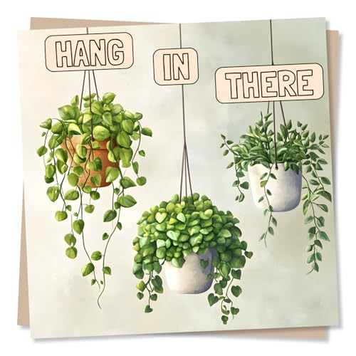 Support Card For A Loved One - Hang In There - Plant Pots - Lighthearted and Sincere - Plants, Recovery, Rest, Grief - For Friend, Relative, Colleague, Family
