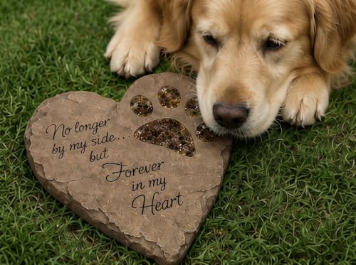 Carson Pet Memorial Garden Stepping Stone Heart Paw Print, 9.5 Inch - color: Brown