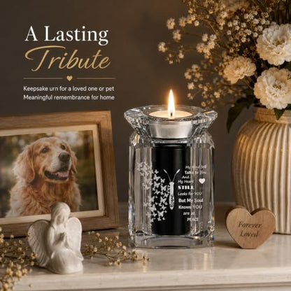 IFOLAINA Small Urn Butterfly for Human Ashes Cremation Mini Crystal Urn Alloy Storage Keepsake Funeral Memorial Gifts for Loved Ones