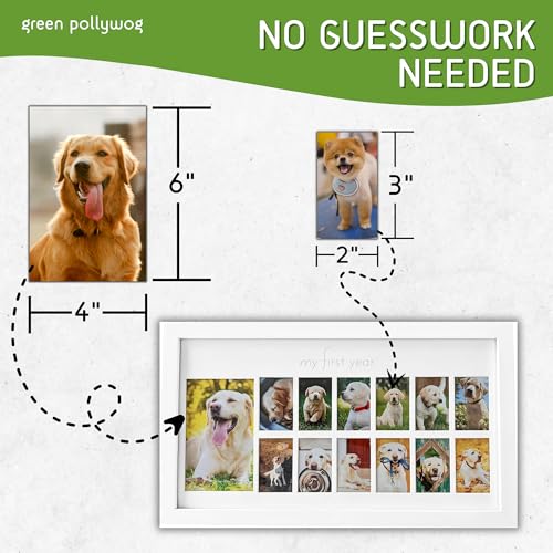 Green Pollywog My First Year Dog Picture Frame, 12-Month - size: Dog First Year Frame - White