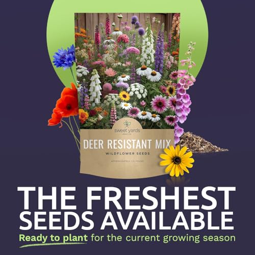 Deer Resistant Wildflower Seed Mixture - Bulk 1/4 Pound Bag - Over 60,000 Deer Tolerant Seeds - Open Pollinated and Non GMO - size: 1/4 Pound Bag