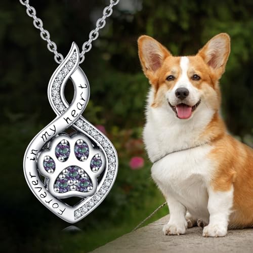 Butterfly/Dragonfly/Pet Paw/Tree of Life/Maple Leaf/Cross Urn Necklace for Ashes 925 Sterling Silver Cremation Pendant Jewelry Gifts for Women Mom - color: Paw-June