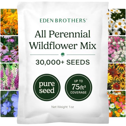 Eden Brothers All Perennial Wildflower Mixed Seeds for Planting, 1 oz, Seeds with Lupine, Shasta Daisy | Attracts Pollinators, Plant in Spring or Fall, for Zones 3, 4, 5, 6, 7, 8, 9, 10 - size: 1 Ounce, style: All Perennial