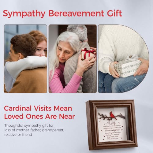 Cardinal Shadow Box Memorial Frame Sympathy Gift for Loss of Loved One - color: Cardinal - A Limb Has Fallen