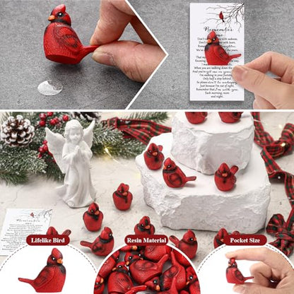 VioraWhite Cardinal Memorial Gift Resin Red Bird Cardinal Figurines Funeral Favor Memorial Gift Remembrance Poem Card for Family Friend Guest Garden Craft Cake Topper Decor(Remembrance) - style: Remembrance