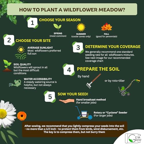 Wildflower Seed Shaker – Awesome Annual Mix by GevaGrow - 2 Ounce Shaker - size: 2oz Shaker, style: Annual Wildflower Mix