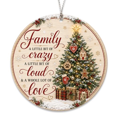 Family Christmas Ornament 2026, Funny Family Tree Ornament, A Little Bit of Crazy, A Little Bit of Loud, A Whole Lot of Love Holiday Keepsake - color: Family1