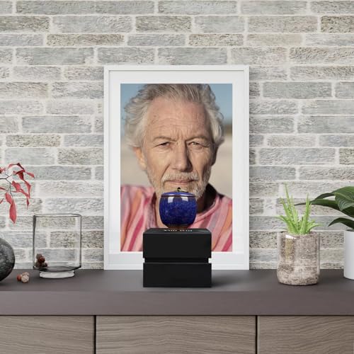 Small Urns for Human Ashes Keepsake, Ceramic Ice Crack Memorial Keepsake Cremation Urns Token Urns Mini Sharing Funeral Urns with Black Premium Box,Blue - color: Blue