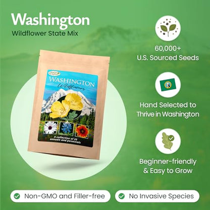 Washington Wildflower Seed Mix – Over 60,000 Flower Seeds, Covers 300 Sq Ft | 20 Colorful Annual and Perennial Wildflower Varieties for Washington Gardens, Attracts Bees and Butterflies
