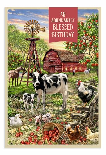 DaySpring - Dona Gelsinger - Down Home Birthday - 4 Design Assortment with Scripture - 12 Birthday Boxed Cards & Envelopes (U1610)