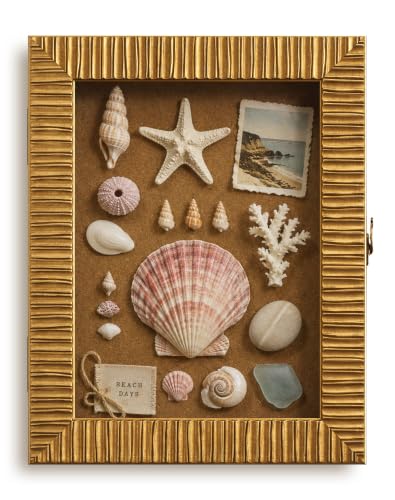 11x14 Antique Gold Shadow Box Display Case for Photo Print Postcard Ticket | Dried Pressed Flowers Travel Souvenirs Certificates Display,Farmhouse Vintage Bedroom Hallway Gallery Wall Art Accent Decor - color: Gold, size: 11x14