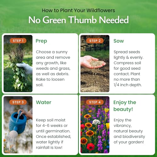 Washington Wildflower Seed Mix – Over 60,000 Flower Seeds, Covers 300 Sq Ft | 20 Colorful Annual and Perennial Wildflower Varieties for Washington Gardens, Attracts Bees and Butterflies