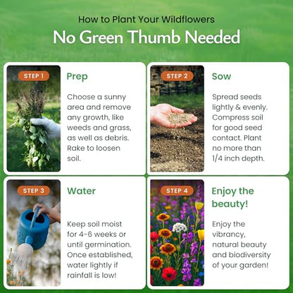 Washington Wildflower Seed Mix – Over 60,000 Flower Seeds, Covers 300 Sq Ft | 20 Colorful Annual and Perennial Wildflower Varieties for Washington Gardens, Attracts Bees and Butterflies