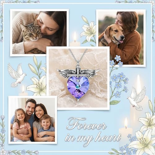 SOULMEET Memorial Wings Necklace for Ashes with Large Heart Crystal Birthstone, Angel Wings Urn Necklaces with Heart Shaped Birthstone Keepsake Silver Cremation Jewelry - style: B-February