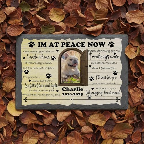 Personalized Pet Memorial Stone for Loss Dogs Cats - color: Memorial 6