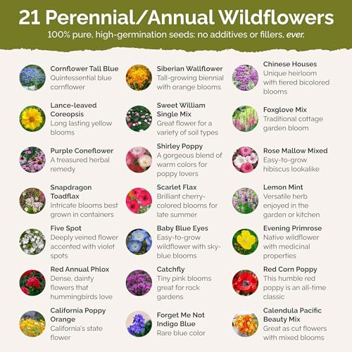 Eden Brothers Partial Shade Wildflower Mixed Seeds for Planting, 1/4 lb - size: 1/4 Pound, style: Partial Shade
