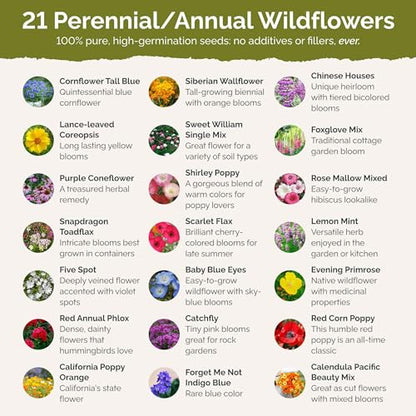 Eden Brothers Partial Shade Wildflower Mixed Seeds for Planting, 1/4 lb - size: 1/4 Pound, style: Partial Shade