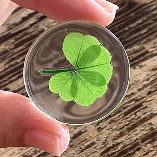 Real Four Leaf Clover Good Luck Pocket Token, Preserved, Preserved-Flowers, 1.25”